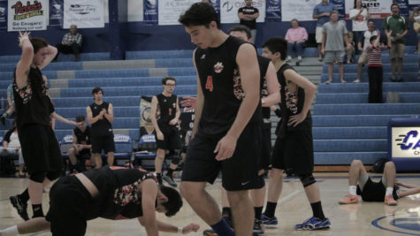 Volleyball falls one win short of title