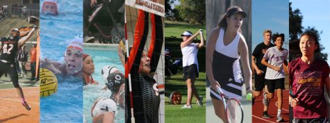 Tigers gear up for playoffs
