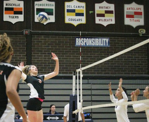 VOLLEYBALL: Tigers defeat Oakmont Vikings to secure position in playoffs