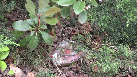 TRAN: Trash indicative of apathy