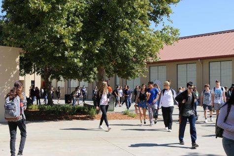 BENNETT: RHS – acknowledge the bad, appreciate the good