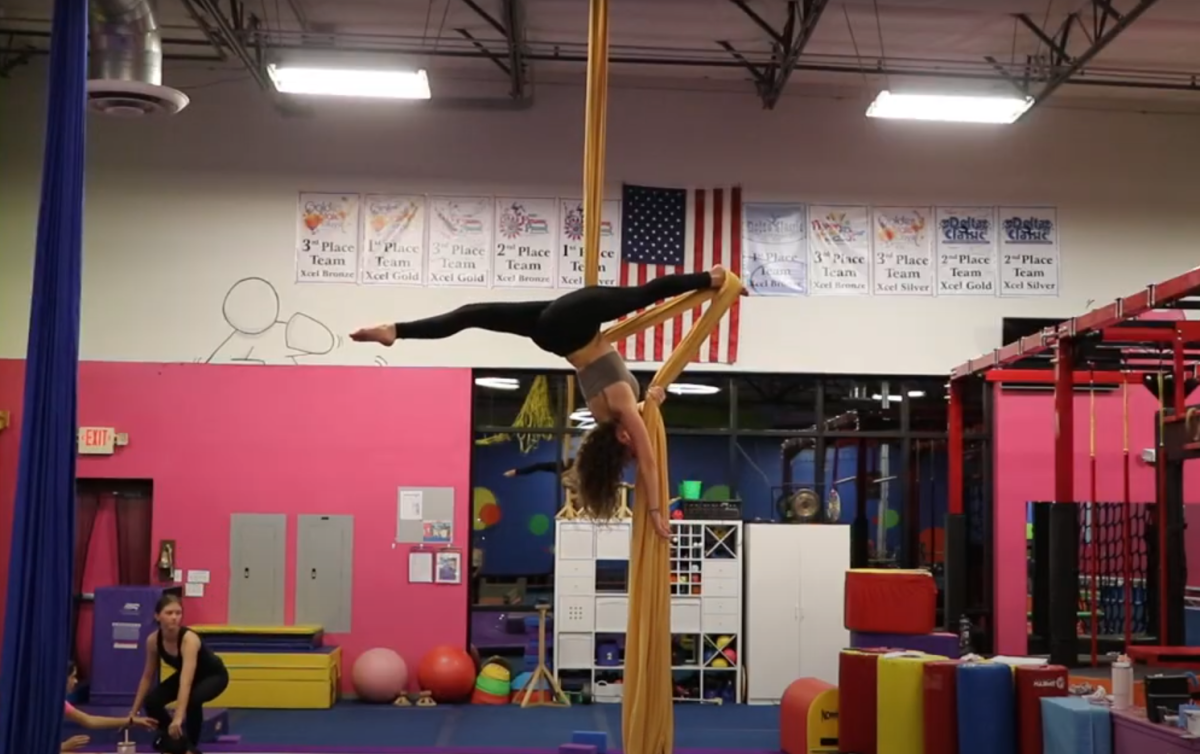 Aspiring aerialist